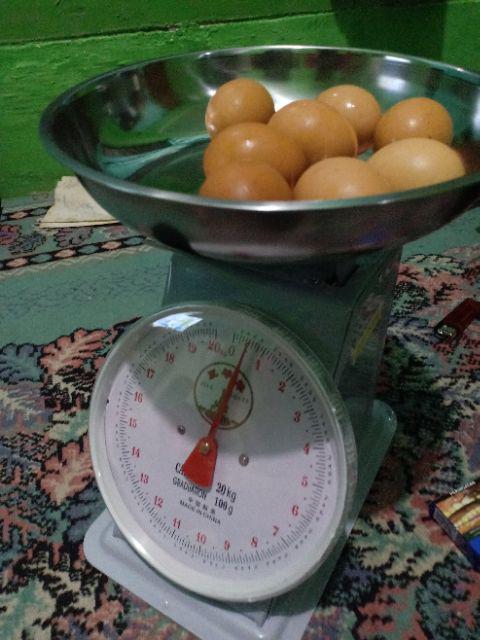 Timbangan Duduk Five Goats / Gsf