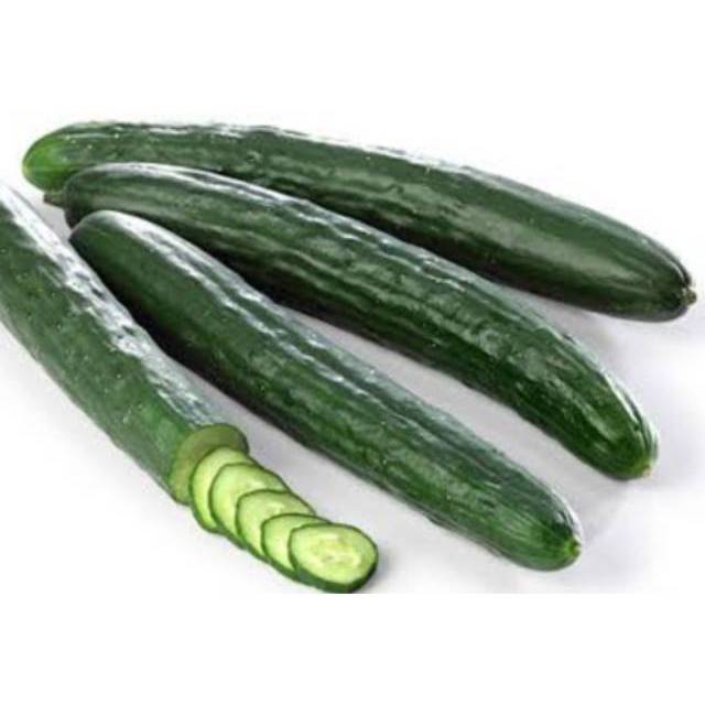 Benih Timun Jepang Roberto (Repack) Bibit Chia Tai Seed