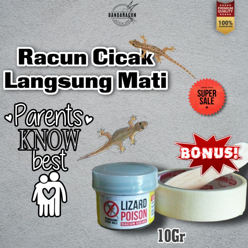 Racun Cicak Herbal Ampuh Membasmi Cicak Lizard Poison