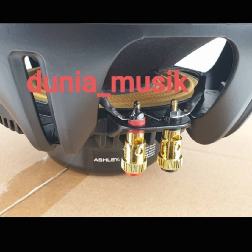 speaker ashley top12neo top 12neo 12inch original garansi 1tahun