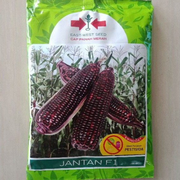 Benih Jagung Ketan Ungu Antioksidan JANTAN F1 isi 250 gr Bibit Pulut Hribrida Cap Panah Merah