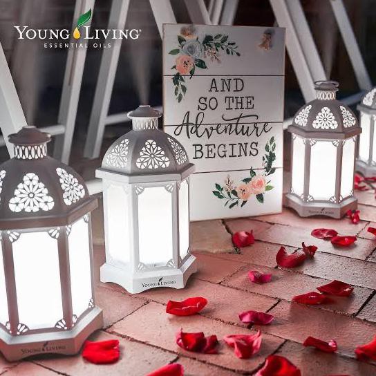 Lantern Diffuser Young Living Bergaransi Nandaputriah