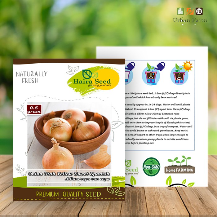 Benih-Bibit Bawang Bombay Utah Yellow Sweet Spanish (Haira Seed)