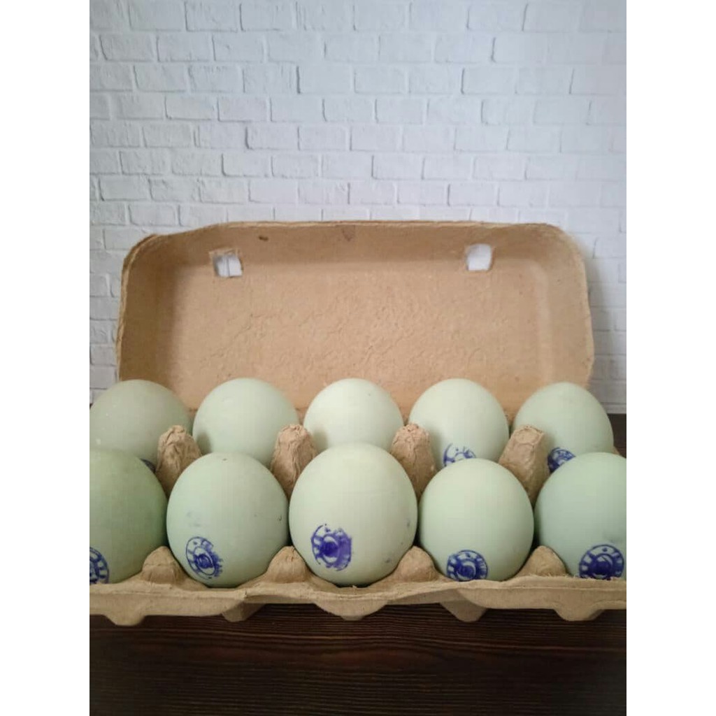 

TELUR ASIN MATANG MASIR BERMINYAK (1 BOX)
