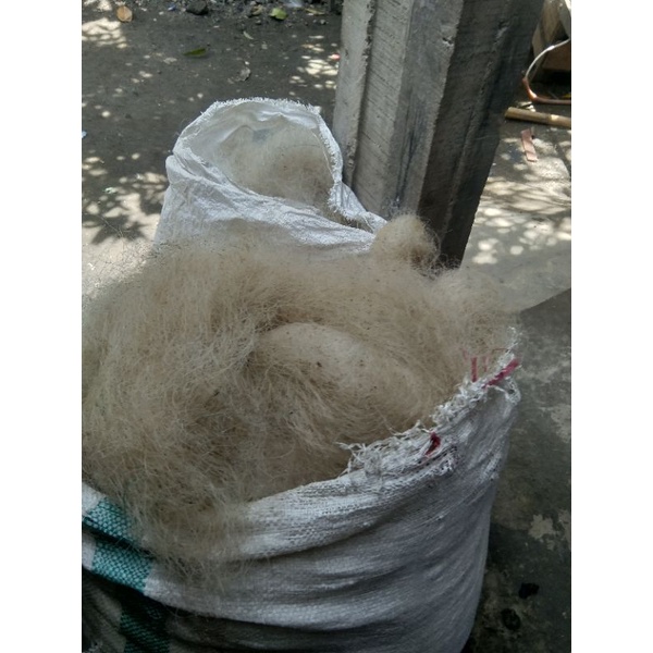 jaring bekas nelayan per 10 kg