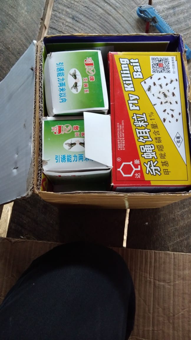 Pembasmi Lalat Impor