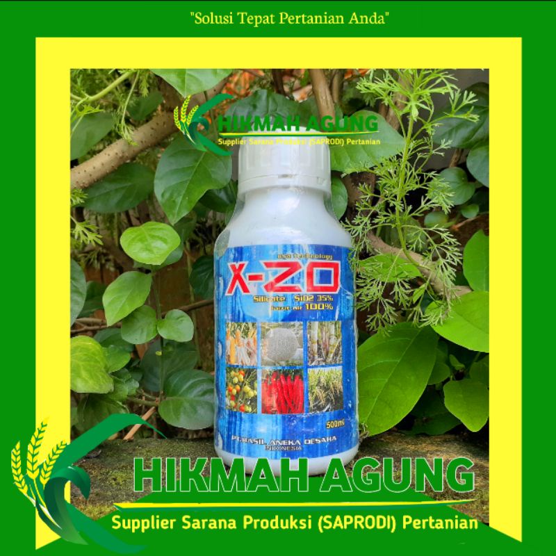 Pupuk Mikro Silika Cair X-ZO