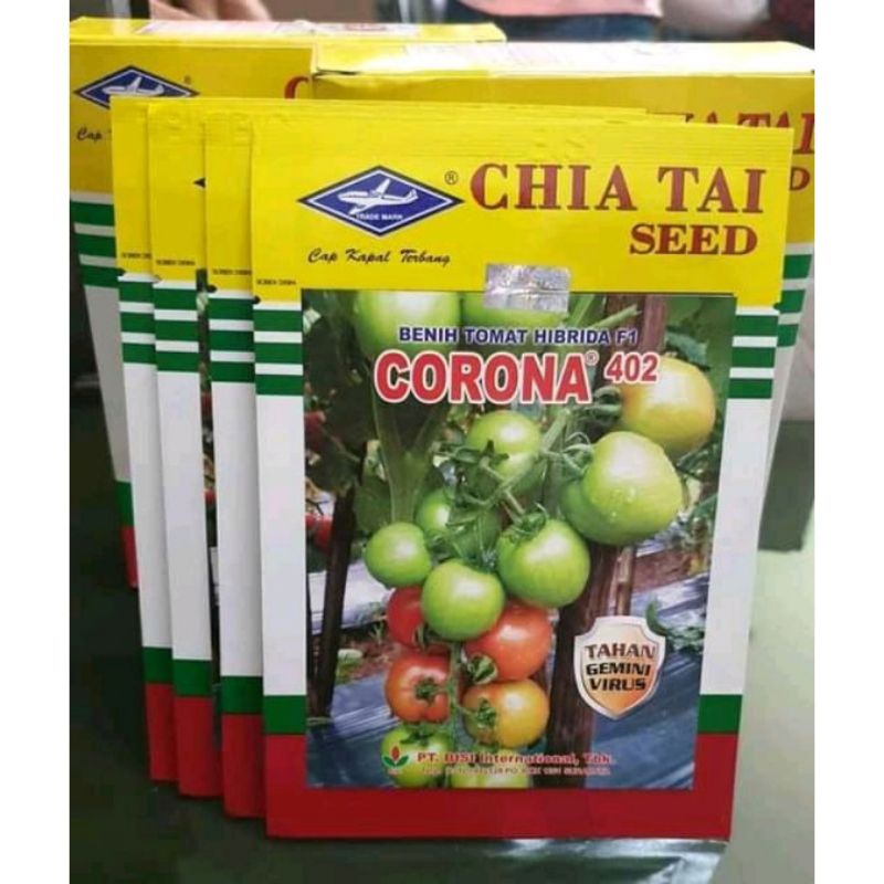 

PROMO . MAS BIDIN benih tomat CORONA cap kapal terbang benih tomat hibrida