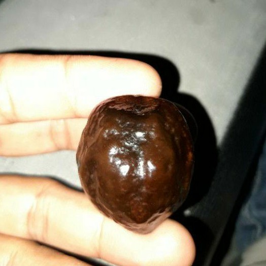 Muncang Jalim boyonet ori