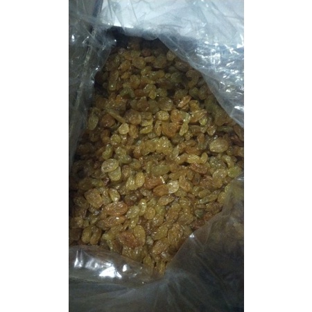 

KISMIS GOLDEN RAISIN 1 KG / KISMIS ASAM MANIS / KISMIS / OLEH OLEH HAJI UMROH