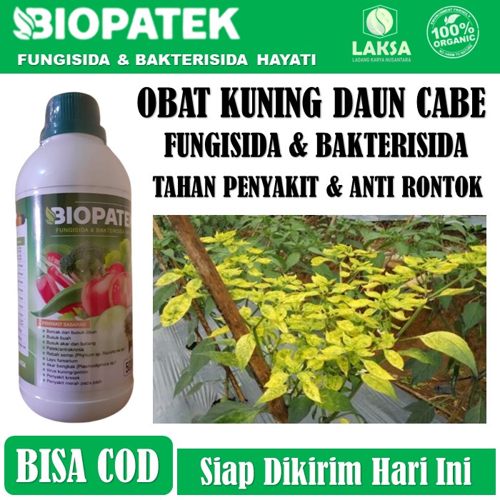 BIOPATEK 500 ML Obat Virus Kuning Keriting Daun Cabe, Timun, Tomat dll, Pupuk Semprot Hama Virus Kun