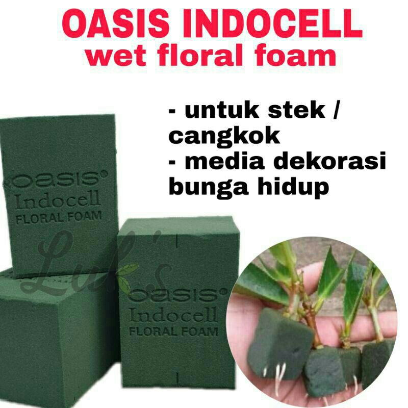 OASIS INDOCELL wet floral foam media tanam stek cangkok