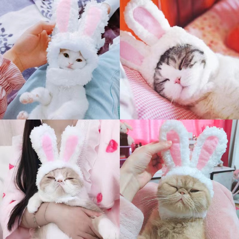 cod★ready★ Topi Telinga Kucing Kelinci untuk Anjing / Kucing Kecil Kostum Telinga Kelinci untuk Kucing Anjing Cat Dog Costum Bando Rabbit globallagilaku