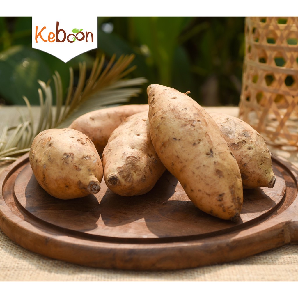 

Ubi Cilembu (500 gr)