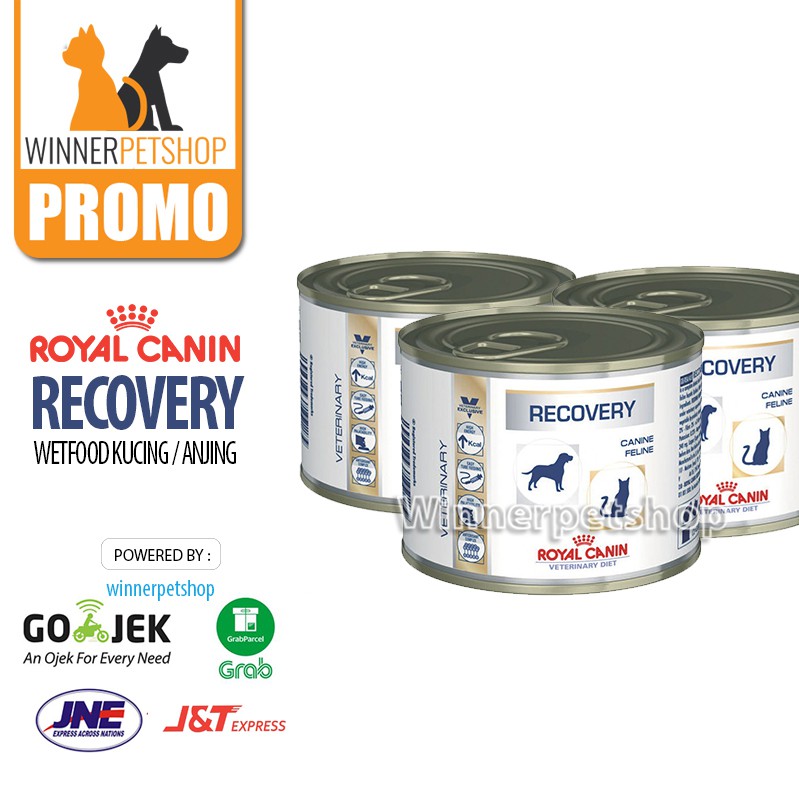 Royal canin recovery wetfood Untuk anjing kucing sakit / kritis