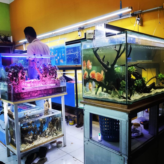 Burner Kompor Tecstar / Kuningan Kompor Tecstar / Burner Tecstar / Kuningan Tecstar / Tungku Tecstar