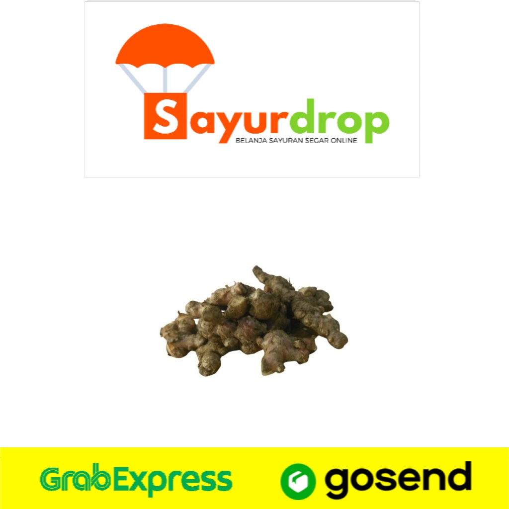 

Jahe Merah 100 Gr - Segar Higienis Murah Cepat - Instant/Same Day Delivery (Sayurdrop)