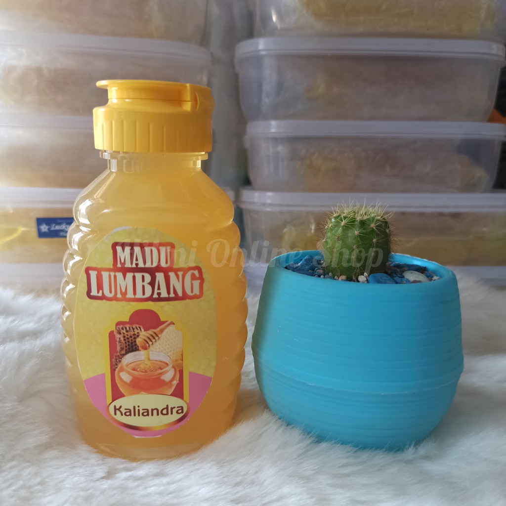 

Madu Lumbang Kaliandra Netto 330 gram