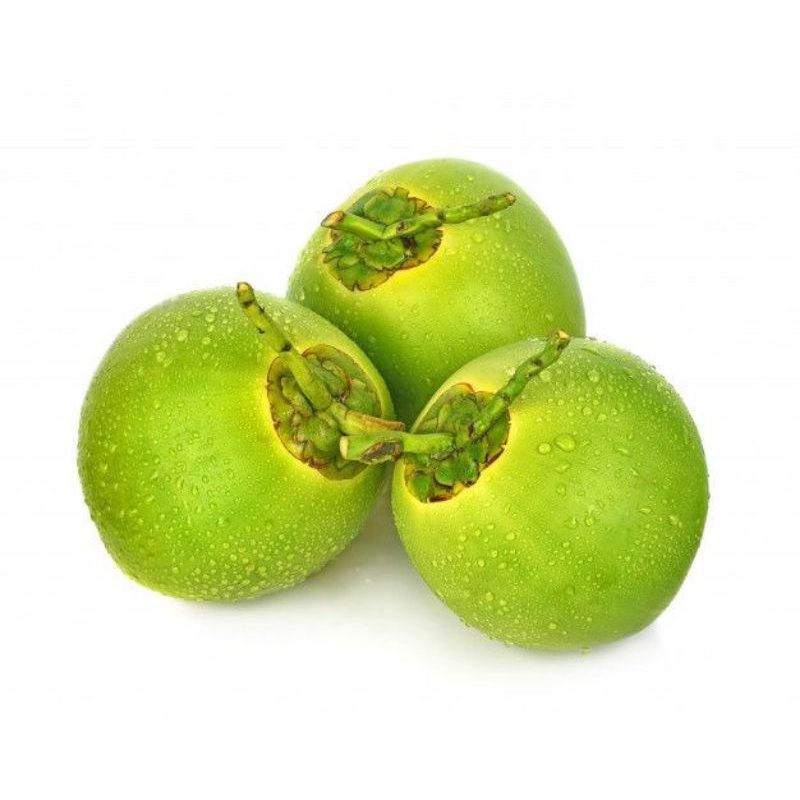

kelapa muda segar per buah