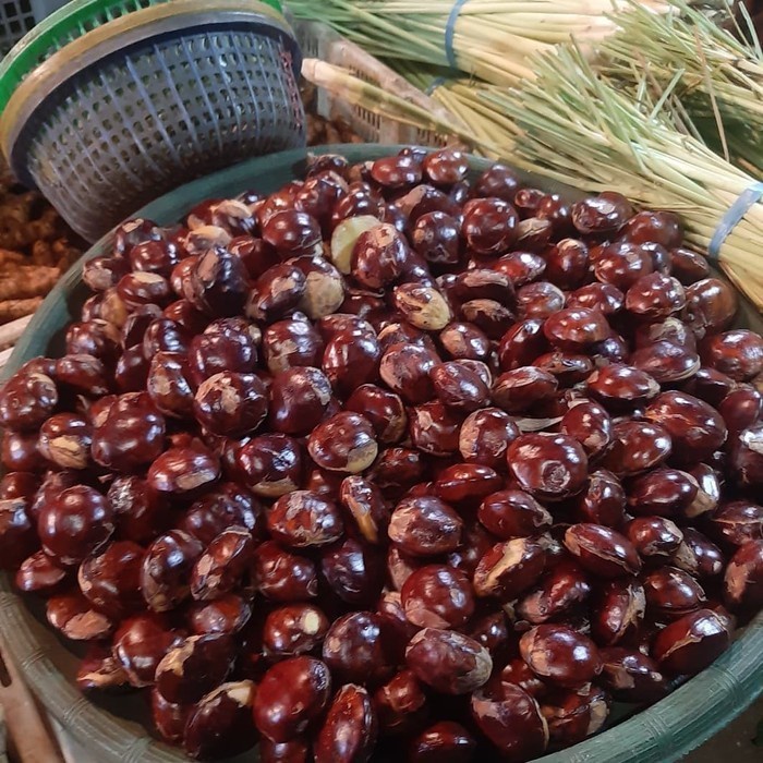 

Jengkol Tua 1/2kg (500gram)