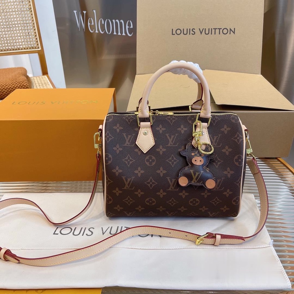 LV Tas bantal LV Tas tangan LV Tas tangan Speedy nano Retiro