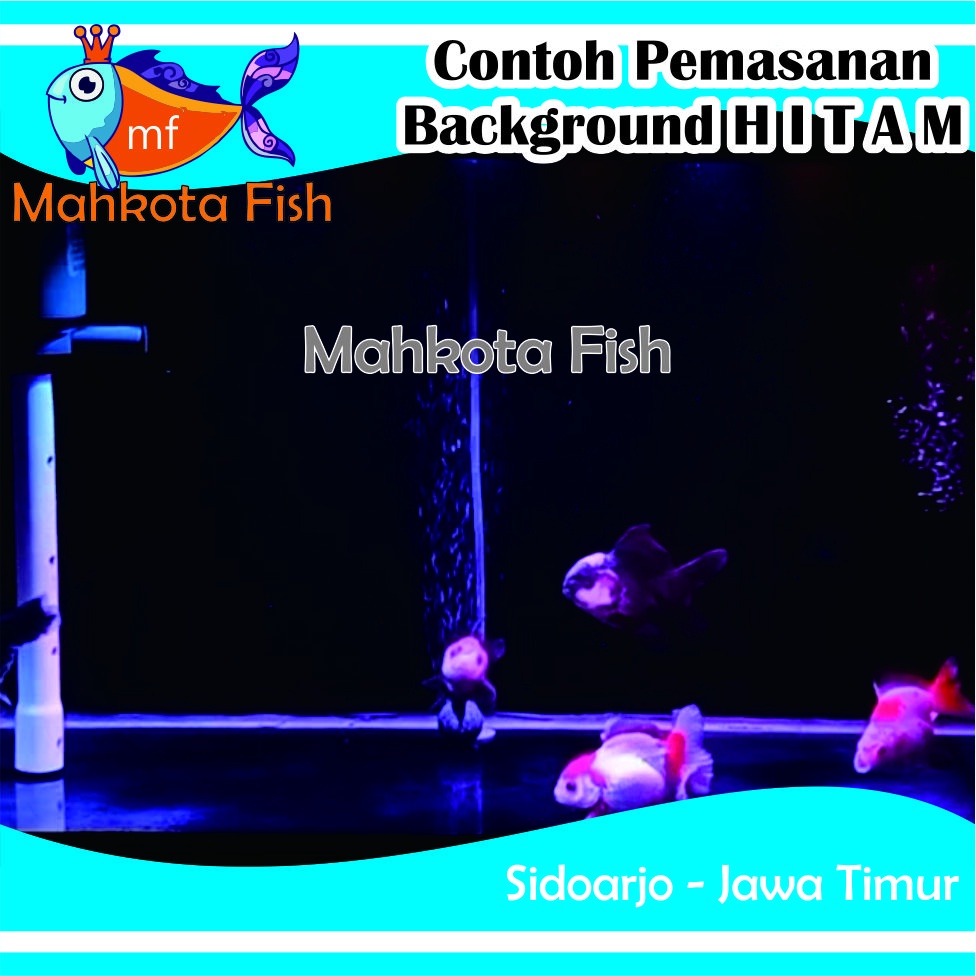 Stiker Aquarium PROMO!! (Extra Lebih Lebar 60cm) | Skotlet Aquarium | Background Aquascape GRATIS SELONGSONG