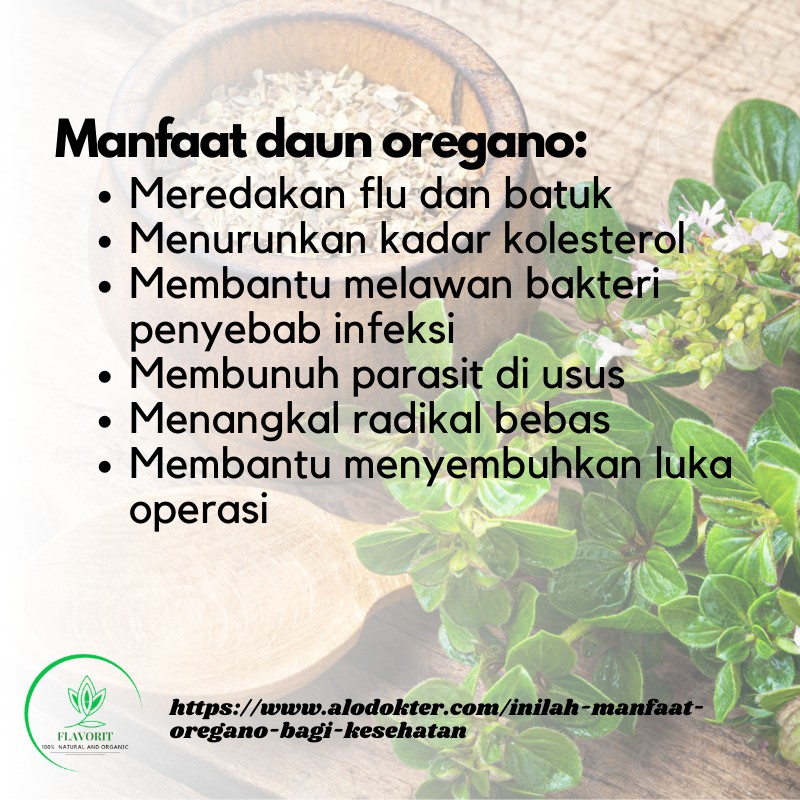 Bumbu Rempah Daun Oregano Dried Leaves Kering Bahan Makanan Pokok Bumbu Dapur Penyedap Rasa Murni