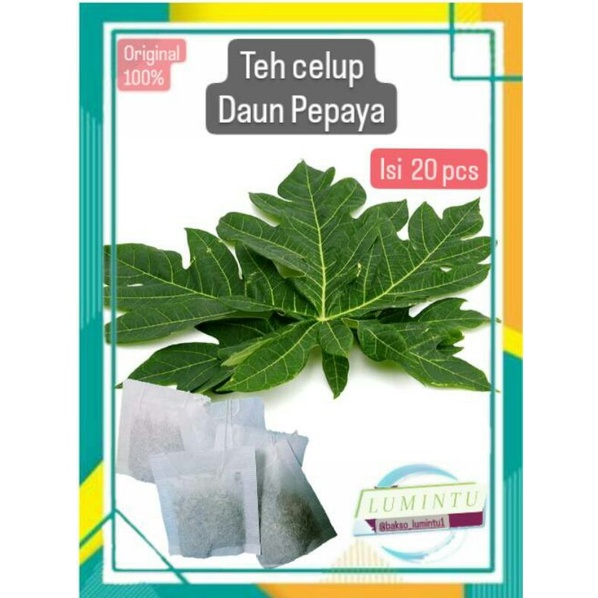 

teh celup daun pepaya isi 20 pcs original , daun pepaya murni , teh daun pepaya , herbal daun pepaya/daun kates , pepaya , daun , teh celup , herbal , akar , bunga , barang , buah , biji , benih , tanaman , bibit , kayu , bajakah , jamu , obat herbal