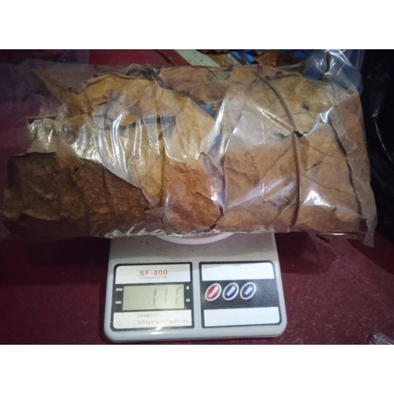 DAUN KETAPANG LAUT PREMIUM 100gram/murah/berkualitas