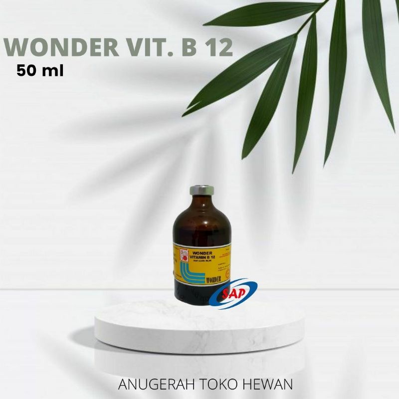 Vitamin B12 Wonder 50ml