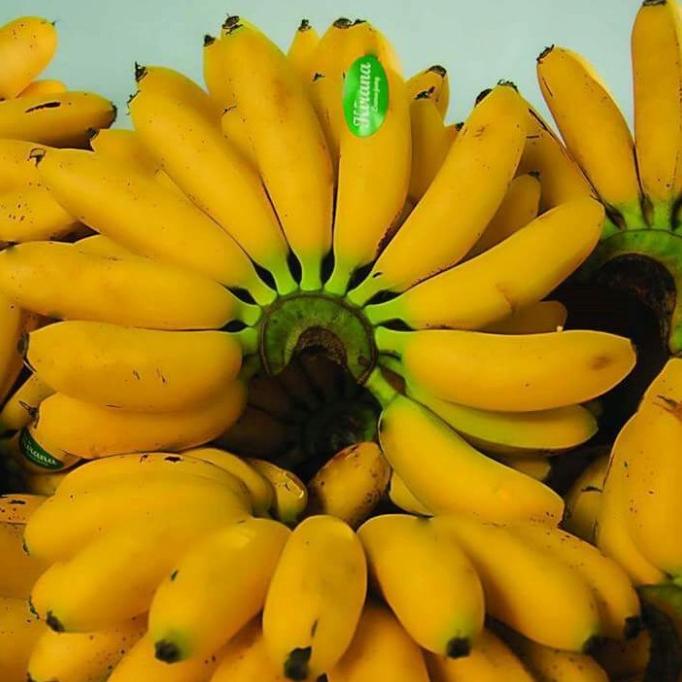 

PISANG MAS KIRANA ASLI SENDURO LUMAJANG 1 DOS