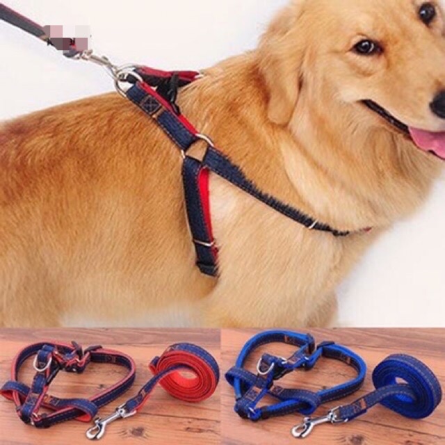 TALI TUNTUN ANJING DENIM TALI ANJING DENIM DOG LEASH HARNESS ANJING HARNES ANJING DOG HARNESS MURAH