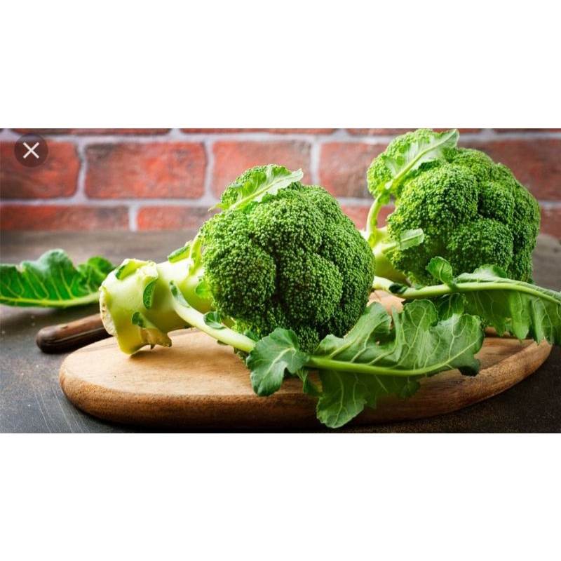 

Brokoli / Broccoli / Sayur Hijau