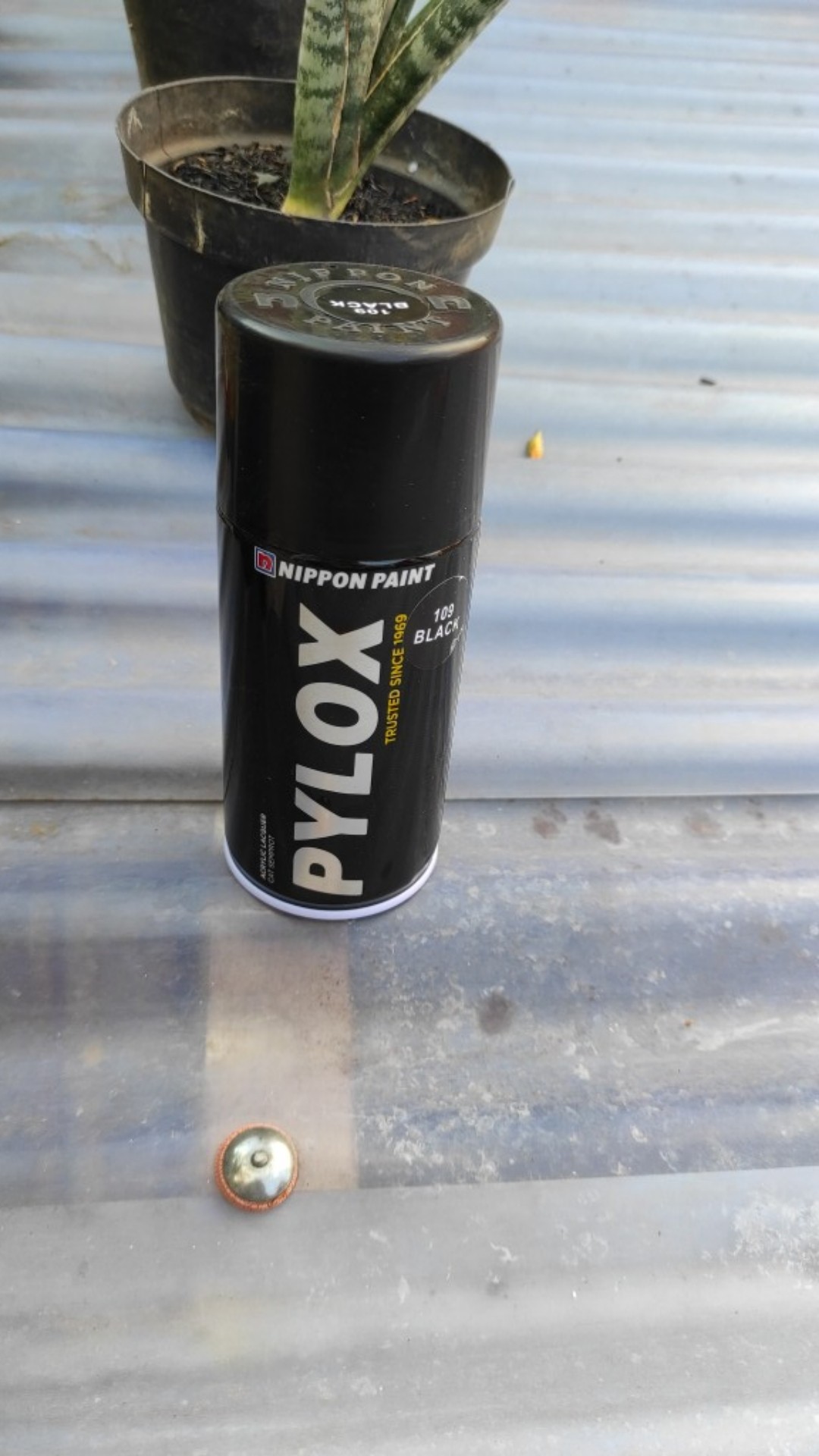 Pylox / Cat Semprot / Cat Spray