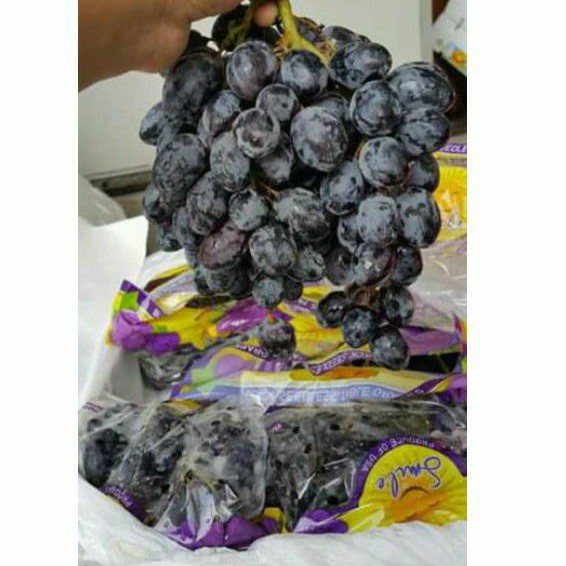 

ANGGUR BLACK AUTUMN 500 gram