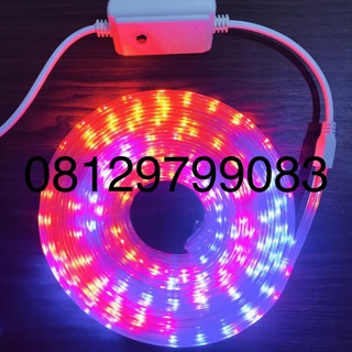 Led strip rgb warna warni 5050 ip 44 outdoor led strip