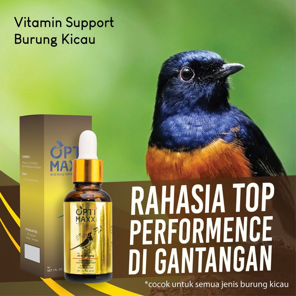 OPTIMAXX ORIGINAL Vitamin Tetes Pakan Burung Kicau Serum Burung Murai Lovebird Kenari Terlaris