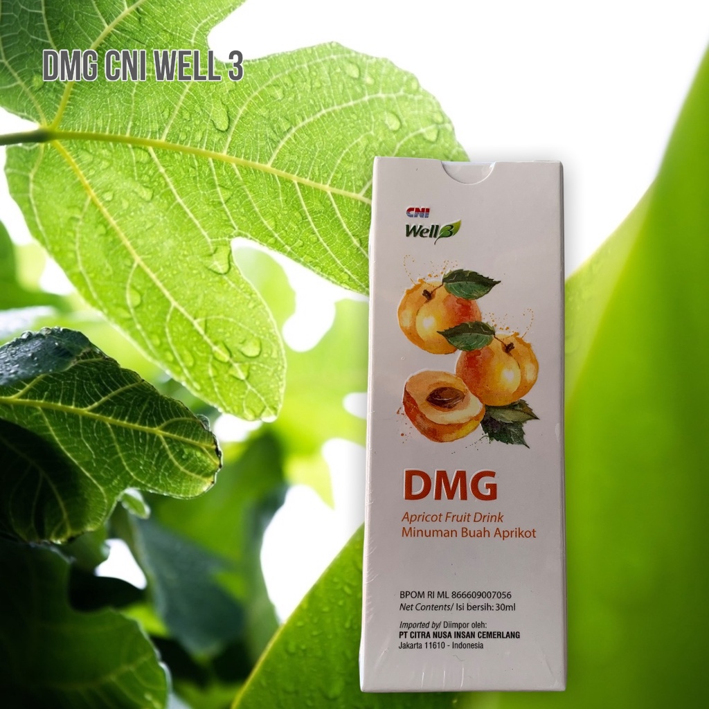 CNI Well 3 DMG Aprikot 30 ml