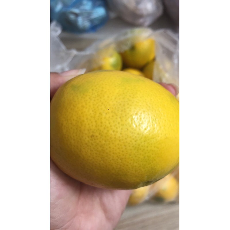 

LEMON CALIFORNIA LOKAL