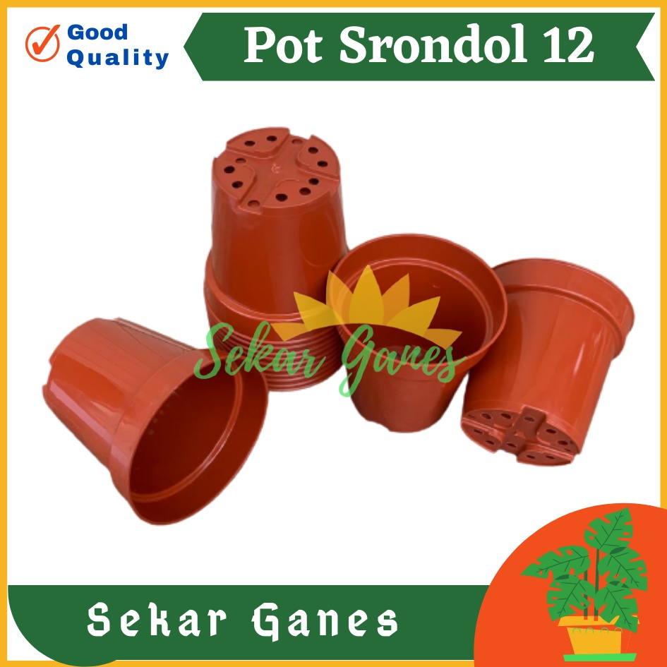 Pot Tinggi Srondol 12 Merah BataTerracota Coklat - Pot Tinggi Usa Effiel 18 20 25 Lusinan Pot Tinggi Tirus 15 18 20 30 35 40 50 Cm Paket murah isi 1 lusin pot tanaman Pot Bibit Besar Mini Kecil Pot Srondol Pot Bunga Termurah