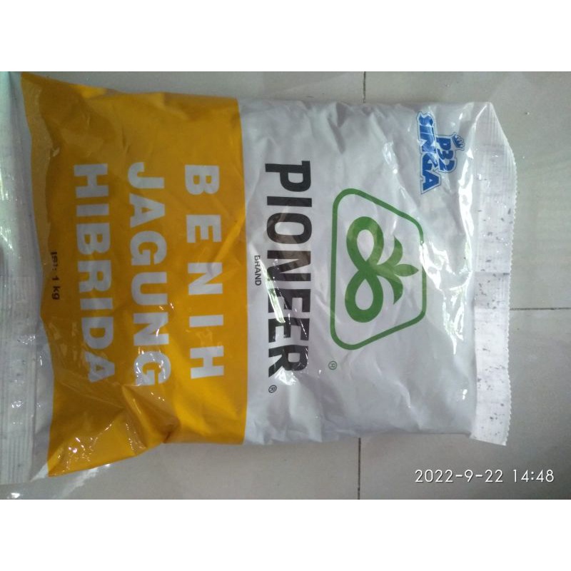 BENIH JAGUNG PIONER P32 1kg
