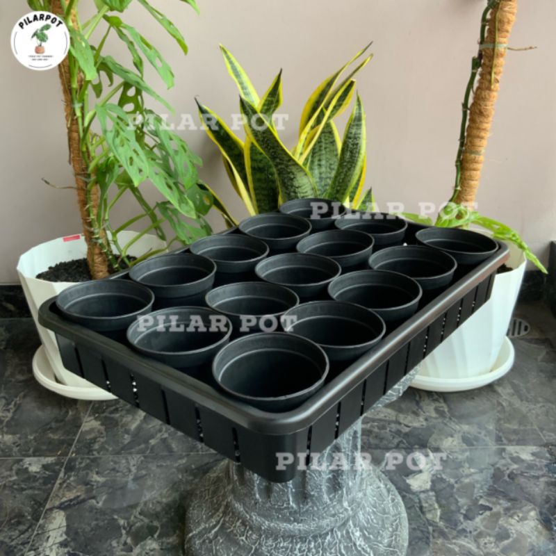 1 SET TRAY + 15 PCS POT HITAM 10CM | TRAY POT NKT 50CM | TRAY SEMAI BIBIT