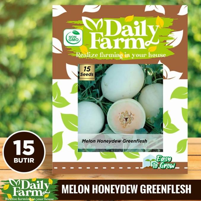 Benih Buah Melon Putih - Greenflesh Honeydew - Daily Farm