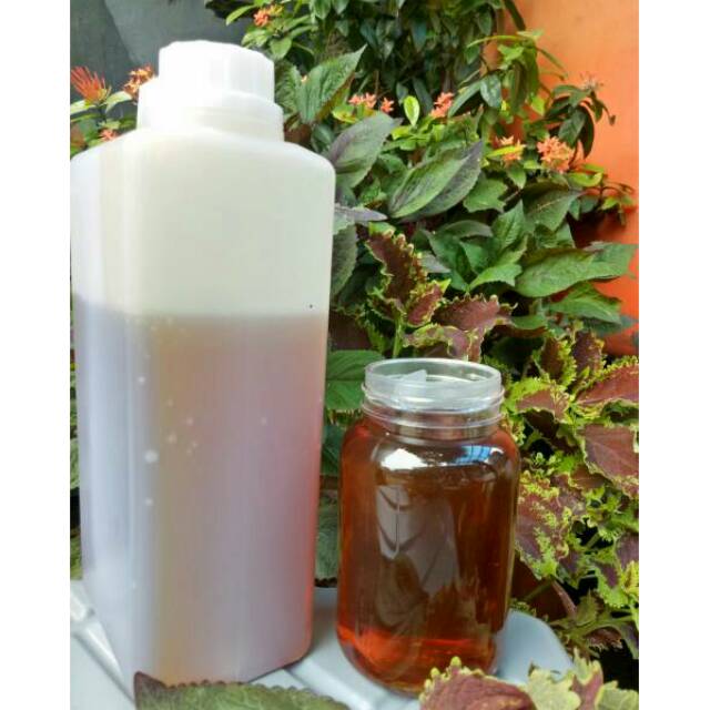 

MADU HUTAN KALIMANTAN ASLI 1KG