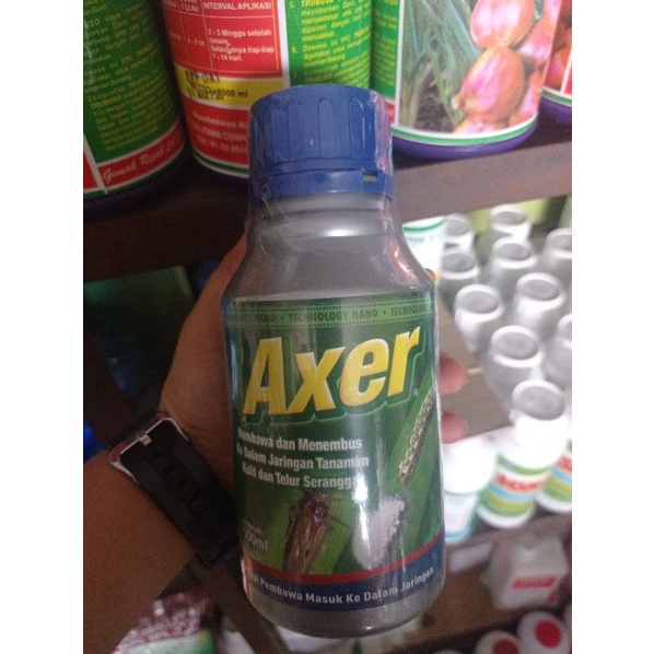 AXER (Perekat perata penembus)