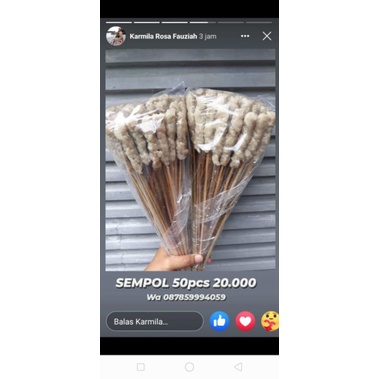 

Sempol Ayam