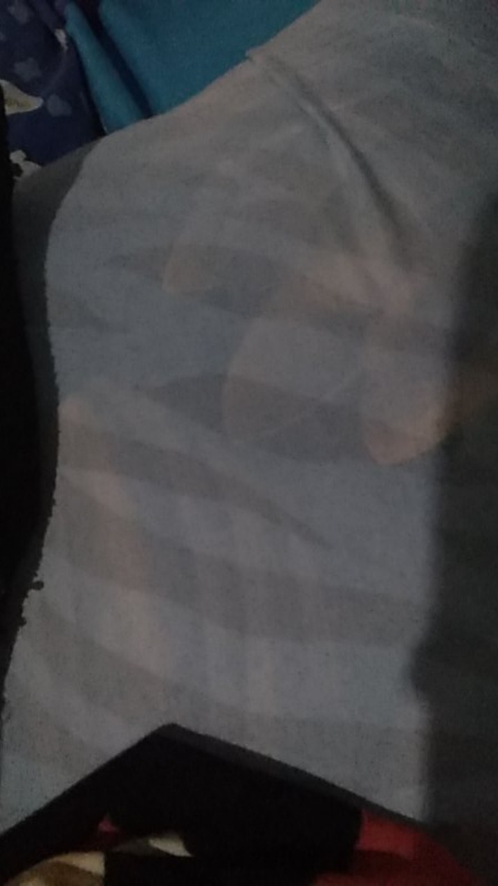 Zebra - Bantal Tidur Dan Guling Motif Zebra Standar Hotel Friamart