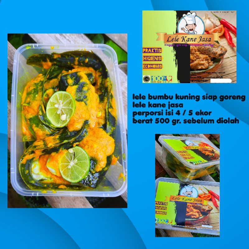 

lele bumbu kuning / lele siap goreng / lele frozen / lele kane jasa