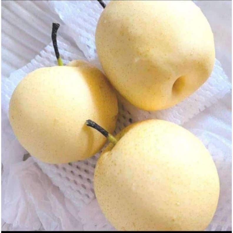 

pear madu century