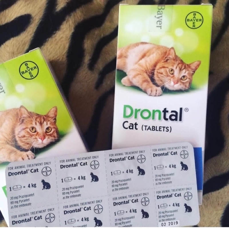 Obat Cacing Kucing Drontal